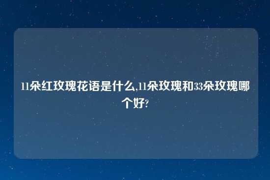 11朵红玫瑰花语是什么,11朵玫瑰和33朵玫瑰哪个好?