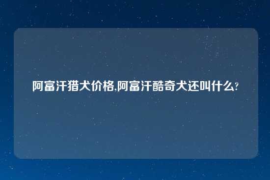 阿富汗猎犬价格,阿富汗酷奇犬还叫什么?