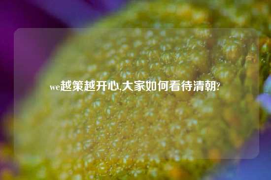 we越策越开心,大家如何看待清朝?