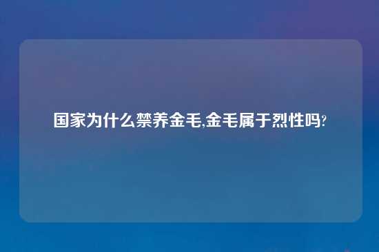 国家为什么禁养金毛,金毛属于烈性吗?