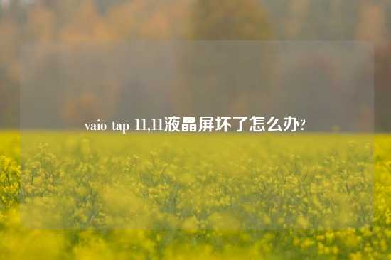 vaio tap 11,11液晶屏坏了怎么办?