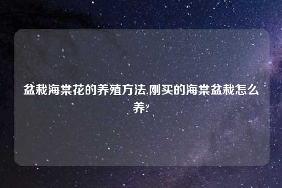 盆栽海棠花的养殖方法,刚买的海棠盆栽怎么养?