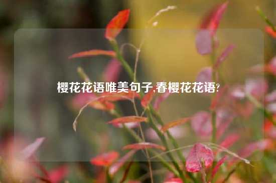 樱花花语唯美句子,春樱花花语?