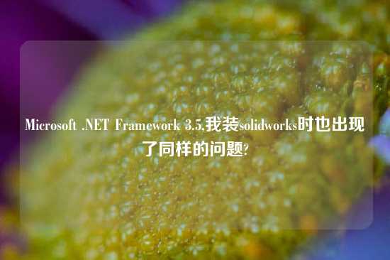 Microsoft .NET Framework 3.5,我装solidworks时也出现了同样的问题?