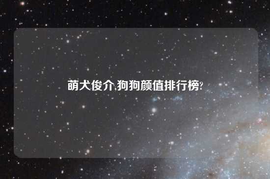 萌犬俊介,狗狗颜值排行榜?