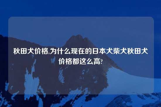 秋田犬价格,为什么现在的鬼子犬柴犬秋田犬价格都这么高?