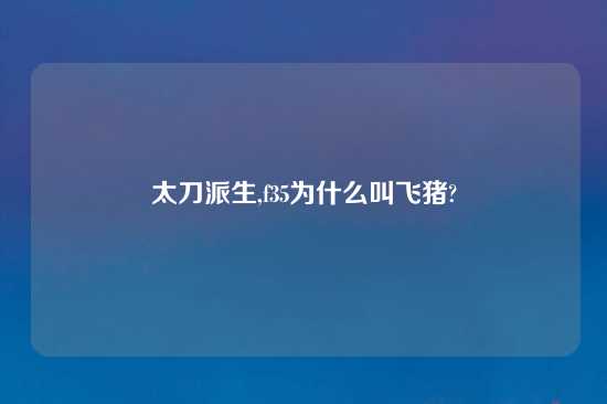 太刀派生,f35为什么叫飞猪?