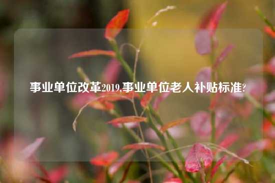 事业单位改革2019,事业单位老人补贴标准?