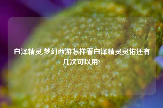 白泽精灵,梦幻西游怎样看白泽精灵灵佑还有几次可以用?