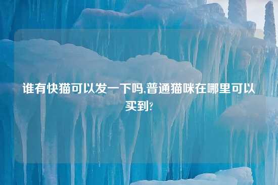 谁有快猫可以发一下吗,普通猫咪在哪里可以买到?