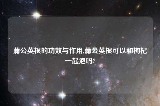 蒲公英根的功效与作用,蒲公英根可以和枸杞一起泡吗?