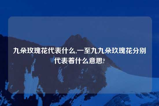 九朵玫瑰花代表什么,一至九九朵玖瑰花分别代表着什么意思?