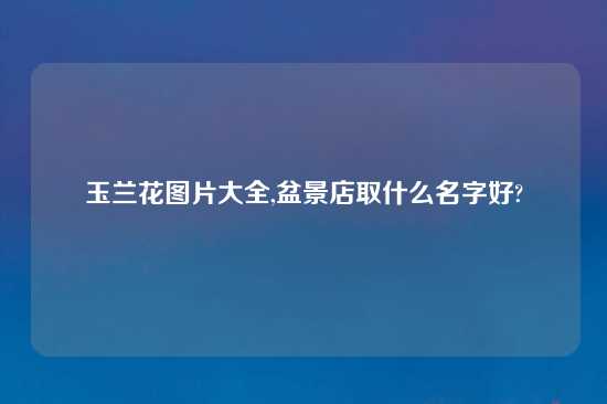 玉兰花图片大全,盆景店取什么名字好?