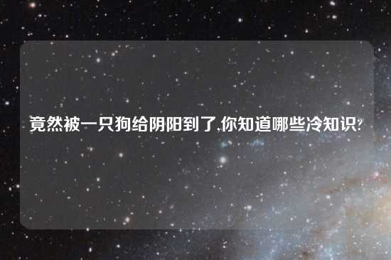 竟然被一只狗给阴阳到了,你知道哪些冷知识?