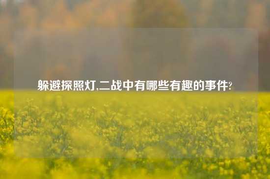 躲避探照灯,二战中有哪些有趣的事件?
