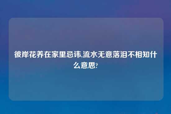 彼岸花养在家里忌讳,流水无意落泪不相知什么意思?
