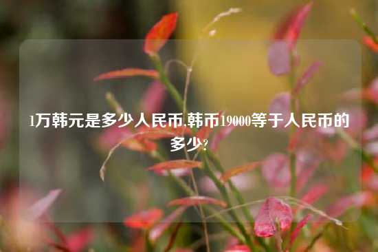 1万韩元是多少人民币,韩币19000等于人民币的多少?