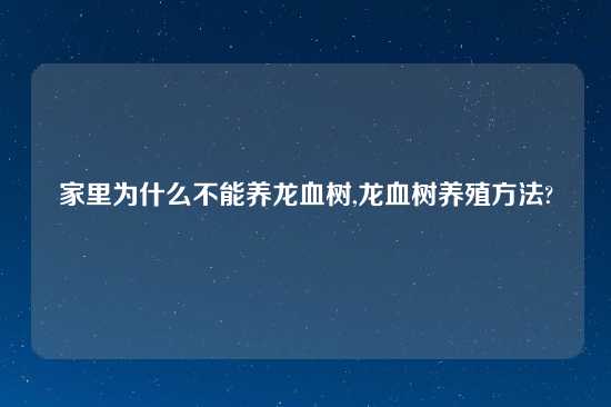 家里为什么不能养龙血树,龙血树养殖方法?