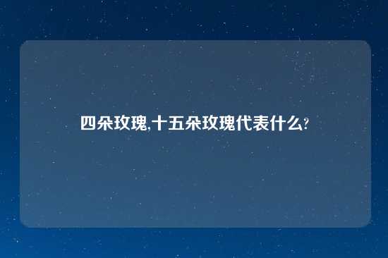 四朵玫瑰,十五朵玫瑰代表什么?