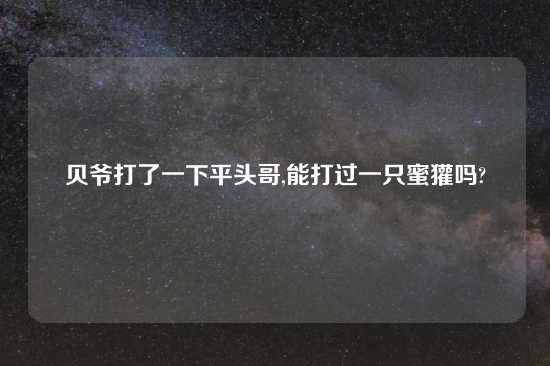 贝爷打了一下平头哥,能打过一只蜜獾吗?