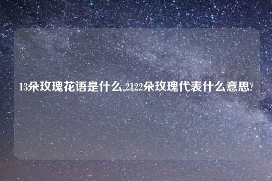 13朵玫瑰花语是什么,2122朵玫瑰代表什么意思?