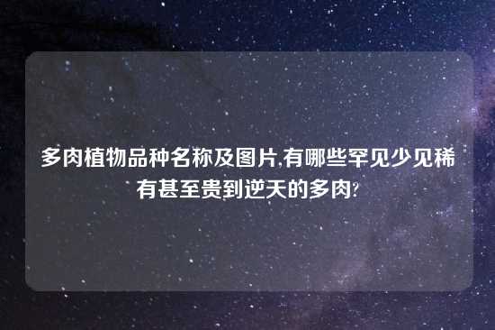 多肉植物品种名称及图片,有哪些罕见少见稀有甚至贵到逆天的多肉?