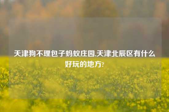 天津狗不理包子蚂蚁庄园,天津北辰区有什么好玩的地方?