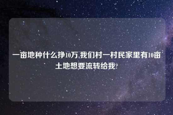 一亩地种什么挣10万,我们村一村民家里有10亩土地想要流转给我?