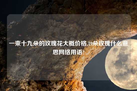 一束十九朵的玫瑰花大概价格,19朵玫瑰什么意思网络用语?