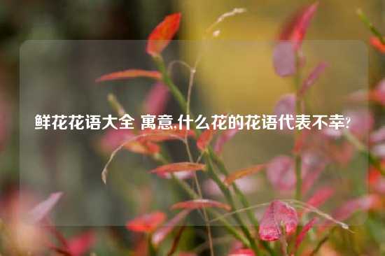 鲜花花语大全 寓意,什么花的花语代表不幸?
