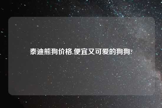 泰迪熊狗价格,便宜又可爱的狗狗?