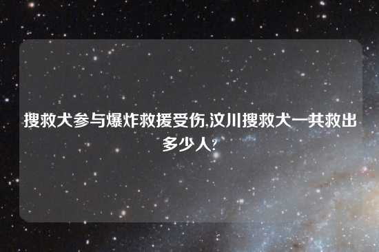 搜救犬参与爆炸救援受伤,汶川搜救犬一共救出多少人?