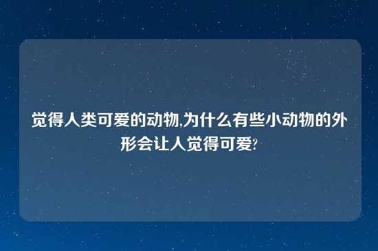 觉得人类可爱的动物,为什么有些小动物的外形会让人觉得可爱?