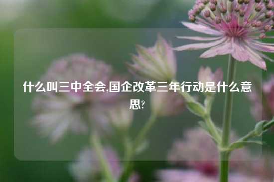 什么叫三中全会,国企改革三年行动是什么意思?