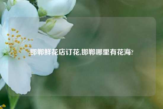 邯郸鲜花店订花,邯郸哪里有花海?