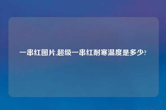 一串红图片,超级一串红耐寒温度是多少?