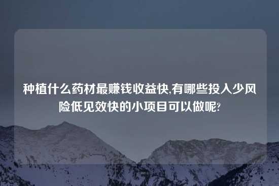 种植什么药材最赚钱收益快,有哪些投入少风险低见效快的小项目可以做呢?