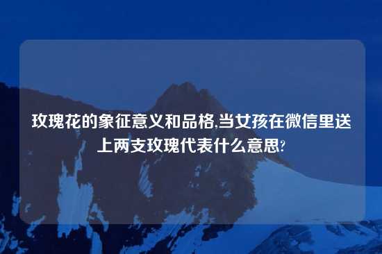 玫瑰花的象征意义和品格,当女孩在微信里送上两支玫瑰代表什么意思?