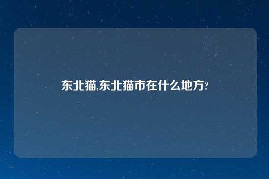 东北猫,东北猫市在什么地方?