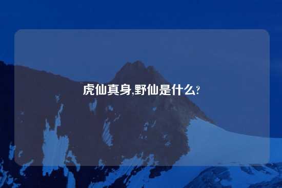 虎仙真身,野仙是什么?