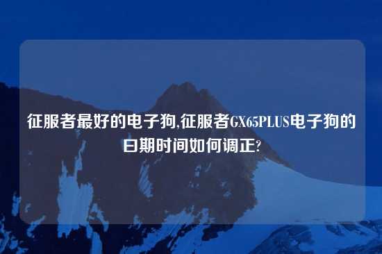 征服者最好的电子狗,征服者GX65PLUS电子狗的曰期时间如何调正?