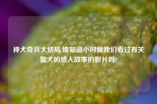 神犬奇兵大结局,谁知道小时候我们看过有关警犬的感人故事的影片吗?