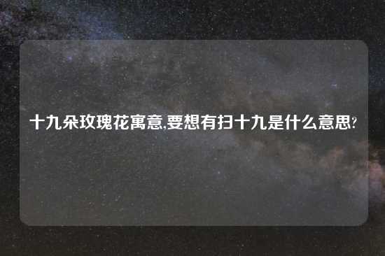 十九朵玫瑰花寓意,要想有扫十九是什么意思?