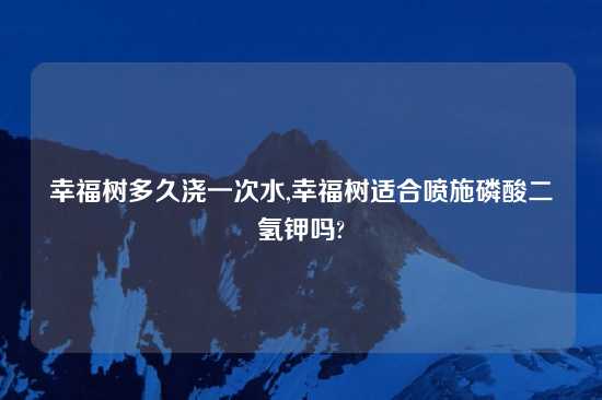 幸福树多久浇一次水,幸福树适合喷施磷酸二氢钾吗?