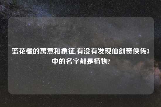 蓝花楹的寓意和象征,有没有发现仙剑奇侠传3中的名字都是植物?