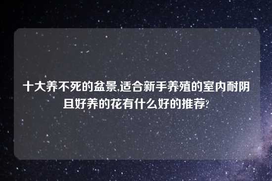 十大养不死的盆景,适合新手养殖的室内耐阴且好养的花有什么好的推荐?