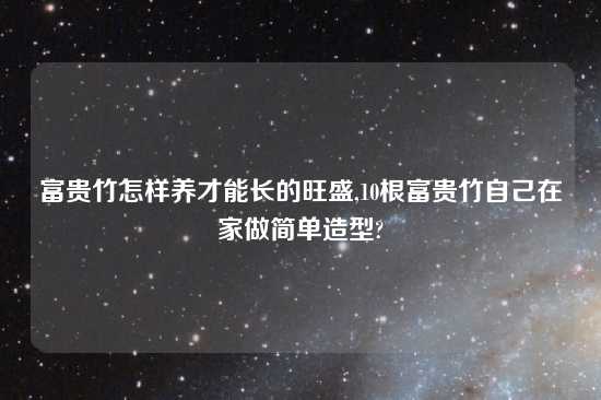 富贵竹怎样养才能长的旺盛,10根富贵竹自己在家做简单造型?