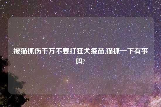 被猫抓伤千万不要打狂犬疫苗,猫抓一下有事吗?