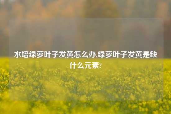 水培绿萝叶子发黄怎么办,绿萝叶子发黄是缺什么元素?