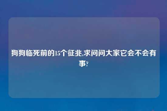 狗狗临死前的15个征兆,求问问大家它会不会有事?